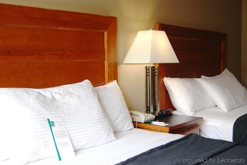 Quality Inn West Edmonton Pokoj fotografie