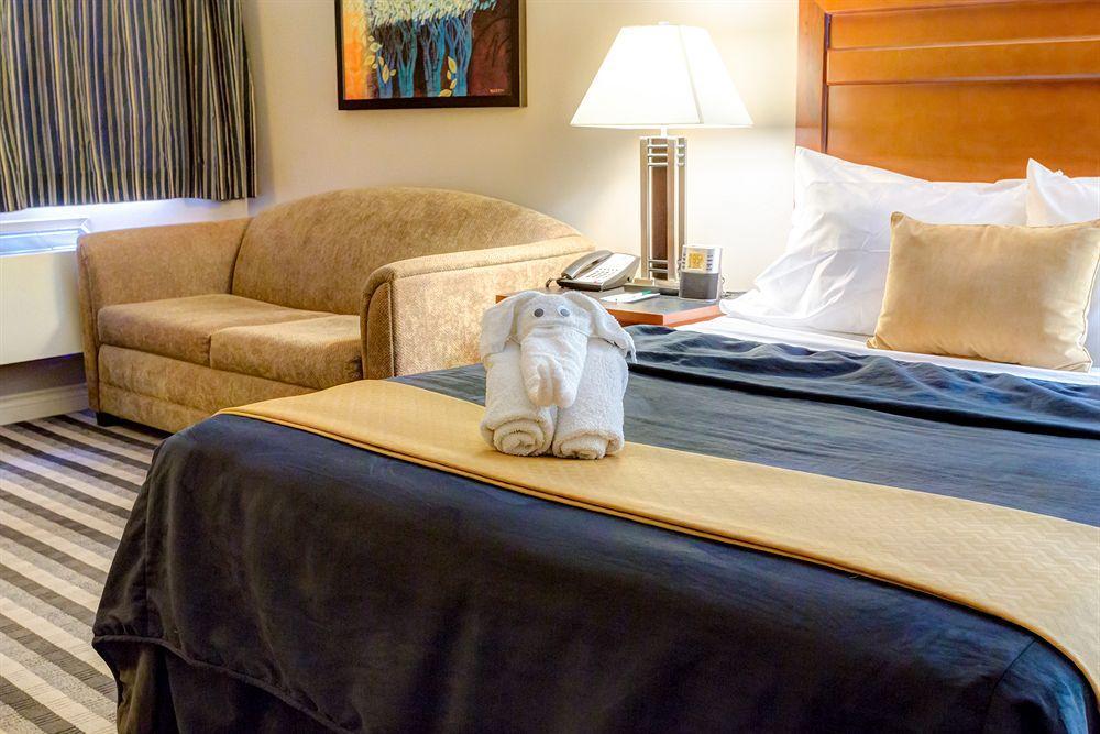 Quality Inn West Edmonton Exteriér fotografie